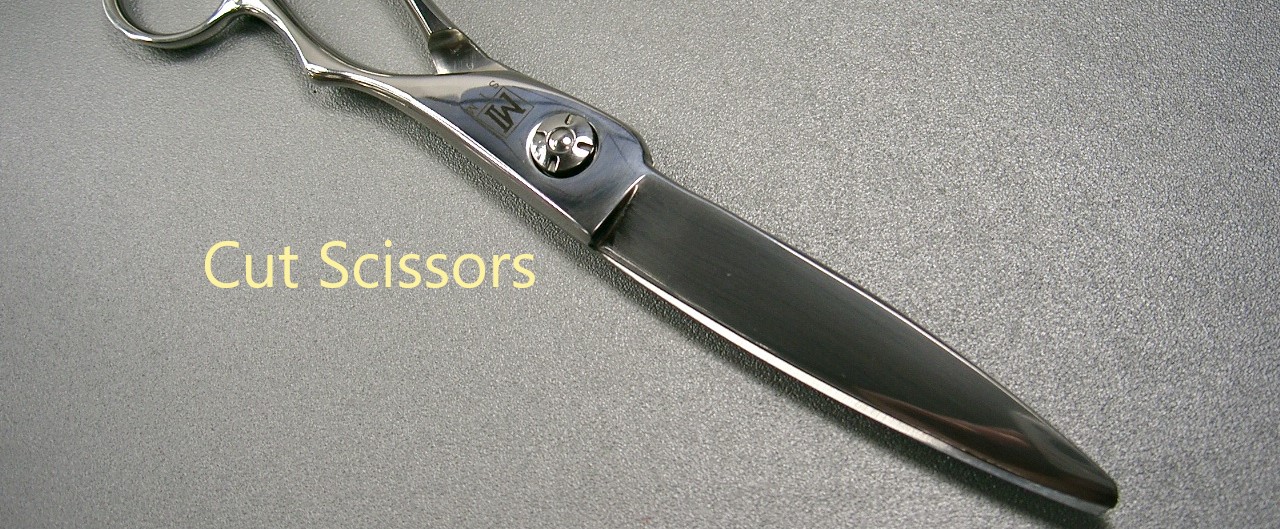 cut scissors.top